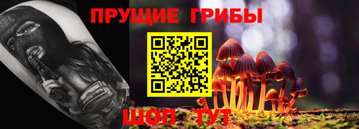 Галлюциногенные грибы MAGIC MUSHROOMS  Псилоцибиновые грибы Cubensis  Вход с VPN  Благодарный 